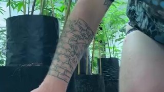 Pup playing in his garden w/ Tail ( full video is premium)