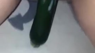 Zucchini Houdini