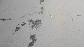 Desperate in public park