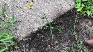 Hot stud goes all the way on dirty crack
