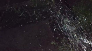 I almost forgot to water the garden.