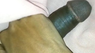 African BBC on display