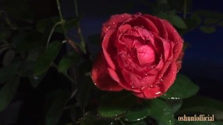 Cumming in the Rain