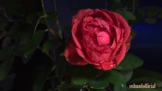 Cumming in the Rain