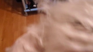 Похотливая зрелка с большими сиськами и здоровой жопой.