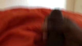 Daddy Plays With Big Black Cock