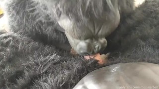Do You Want a Banana?