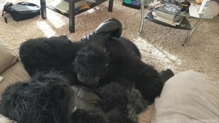 Do You Want a Banana?