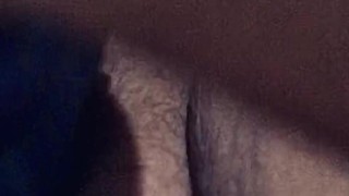 hairy kitty play