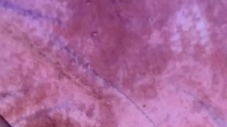 Pissing in my room