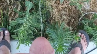 Norwegian Daddy Dick Taking A Piss Outside With Sandals On Half Naked