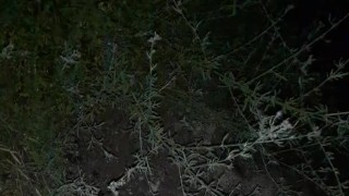 Public park piss and cum