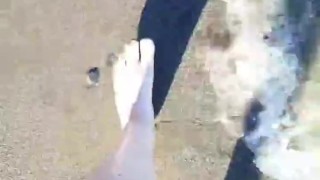 Feeds