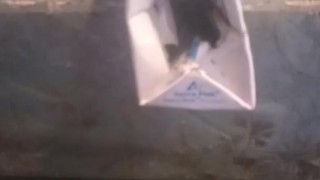 How to make your own sex toy with milkbox easy