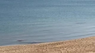 Hard cumshot at beach