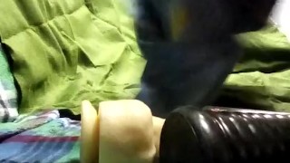 Toy time for pup fen