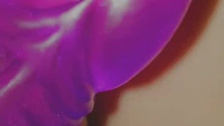 Kitten's cum