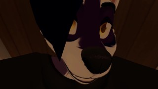 POV Furry Sex