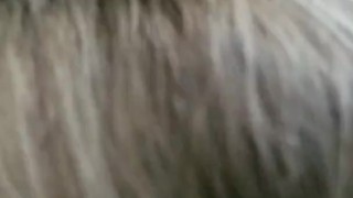 Heather sucking dick in the car