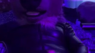 Rubber deer in a skirt playing around 