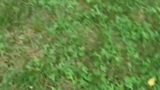 Desperate, wouldn't have made it inside - trans piss