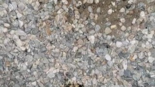 Wasn't going to make it home - public outdoor piss
