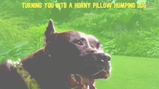 Mesmerized to become My Pillow Humping Dog