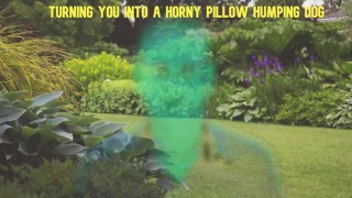 Mesmerized to become My Pillow Humping Dog