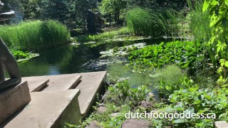 Admiring Shiny Pantyhose/Stockings at the Garden Pond - DutchFootGoddess TikTok
