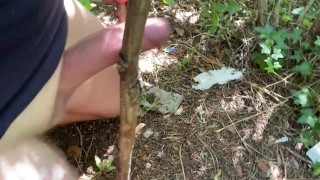 ПАРЕНЬ ДРОЧИТЬ ИССЛЕДУЯ ПРИРОДУ. РИСКУЯ ИМ НА ЛЕСНОЙ ТРОПИНКЕ