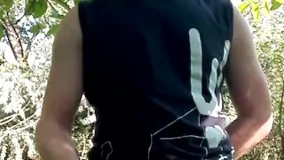 Forest erection