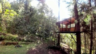 Horny Outdoor Treehouse Masturbation with Glass Dildo