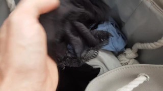 Cum on dirty panties - panty raid from laundry