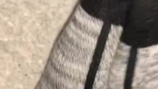 Teen Showing Off Long Sock