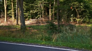 Titten klatschen direkt auf der Strasse- Trailer