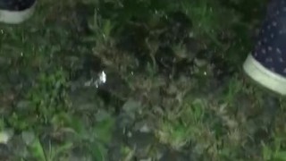 Gotta pee