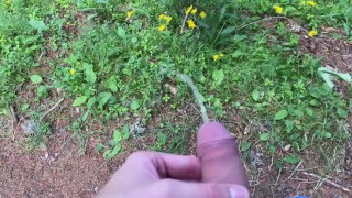Pissing outdoor in the forest