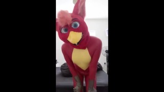 Rubber bird fursuiter Teasing and Toying for all to see