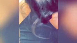Latina Milf Gets Fucked After Party & gets Facial