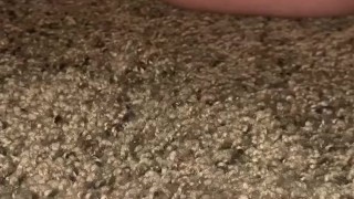 Creamy Pussy Squirt 