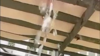 Myra’s pierced pussy pissing compilation. 