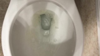 Step bro pisses into step toilet 