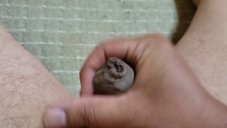 包茎チンポオナニー射精#6　Phimosis cock masturbation ejaculation#6