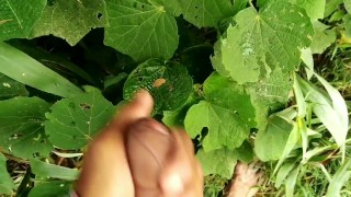 Indian masturbation with big cock in outdoor