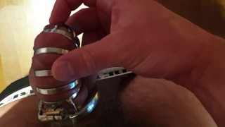 beta male sexless chastity
