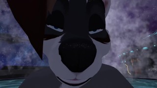 Space Raccoon Butt Invasion - POV Furry Sex