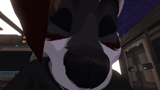 Space Raccoon Butt Invasion - POV Furry Sex