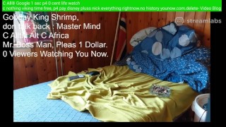 C-Alt Disney King Shrimp HOHOHO CINEMA 1906 +2020-08-02 08-55-33 To Be Continued.mp4 14.84 GB