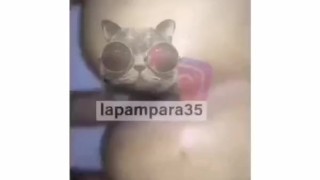  Filtrado Haraca Kiko dando ñema 