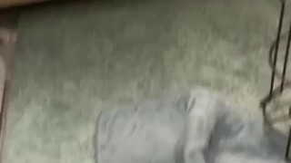 My dick